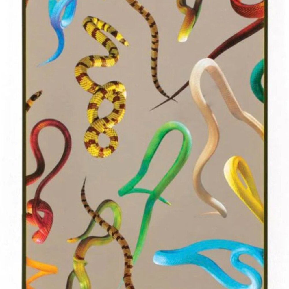 TOILETPAPER Magazine Snake Mirror